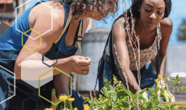 Impact Accelerator Program